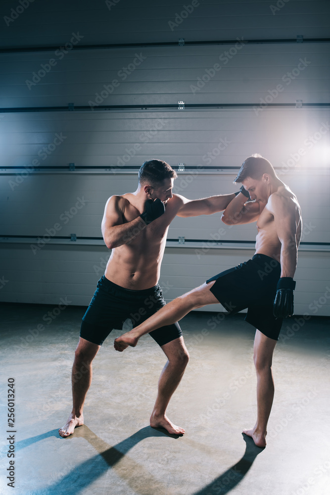Obraz premium Strong shirtless mma fighters kicking and punching one another