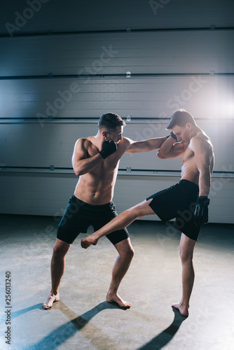 Strong shirtless mma fighters kicking and punching one another