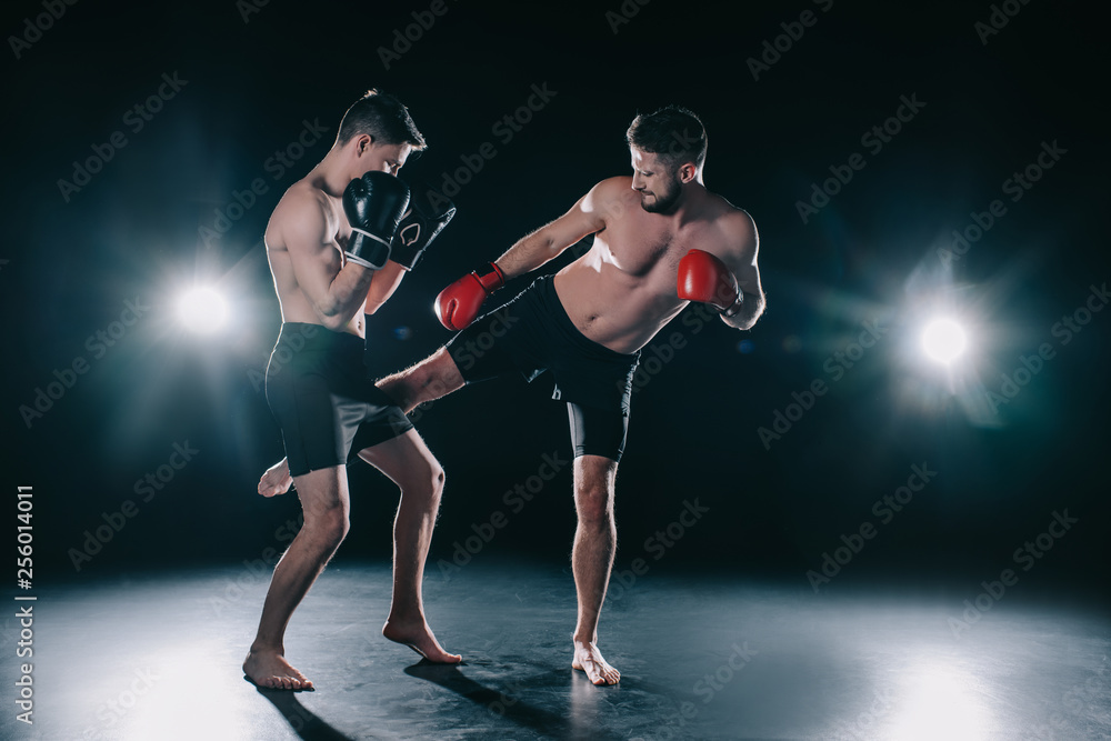 shirtless muscular mma fighter in boxing gloves kicking another in leg