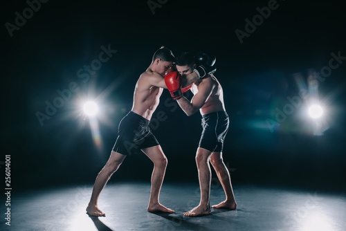 shirtless muscular boxers in boxing gloves standing in clinch © LIGHTFIELD STUDIOS