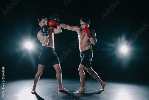shirtless muscular mma fighter in boxing gloves punching another in head