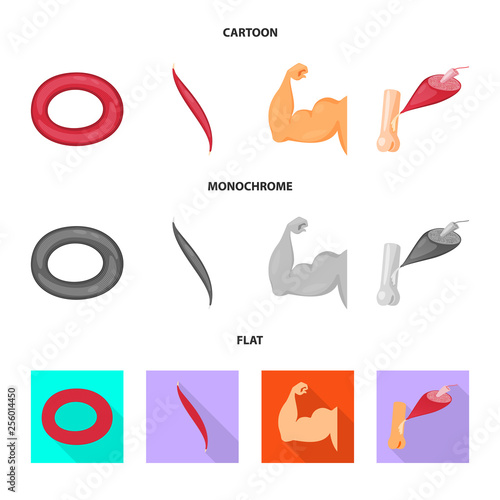 Vector design of fiber and muscular sign. Set of fiber and body  vector icon for stock.