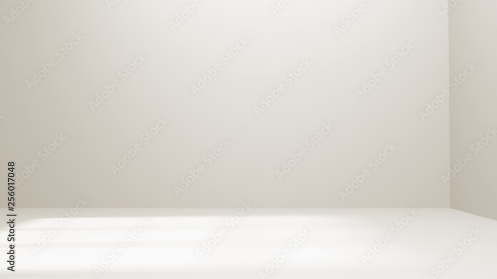 White empty room concept. Perspective floor and walls with corner, blank inside interior., sunlight from window. White empty room concept. Perspective floor and walls with corner, blank inside interior., sunlight from window.