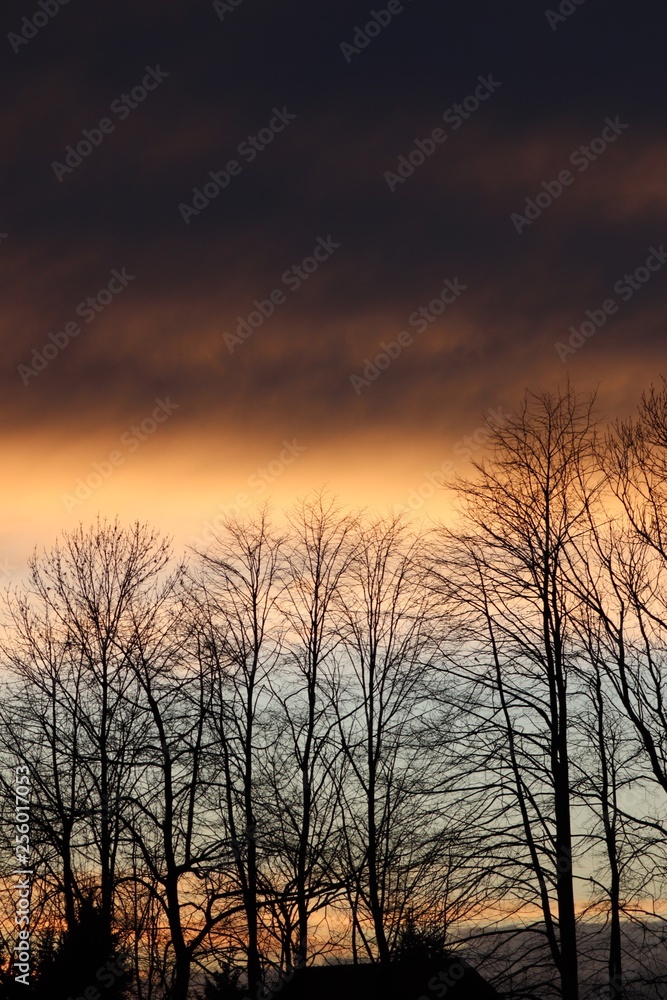 Dark sunset Dark sunset
