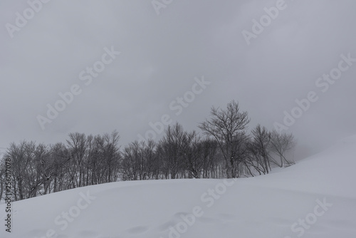 八海山 雪の風景（吹雪）