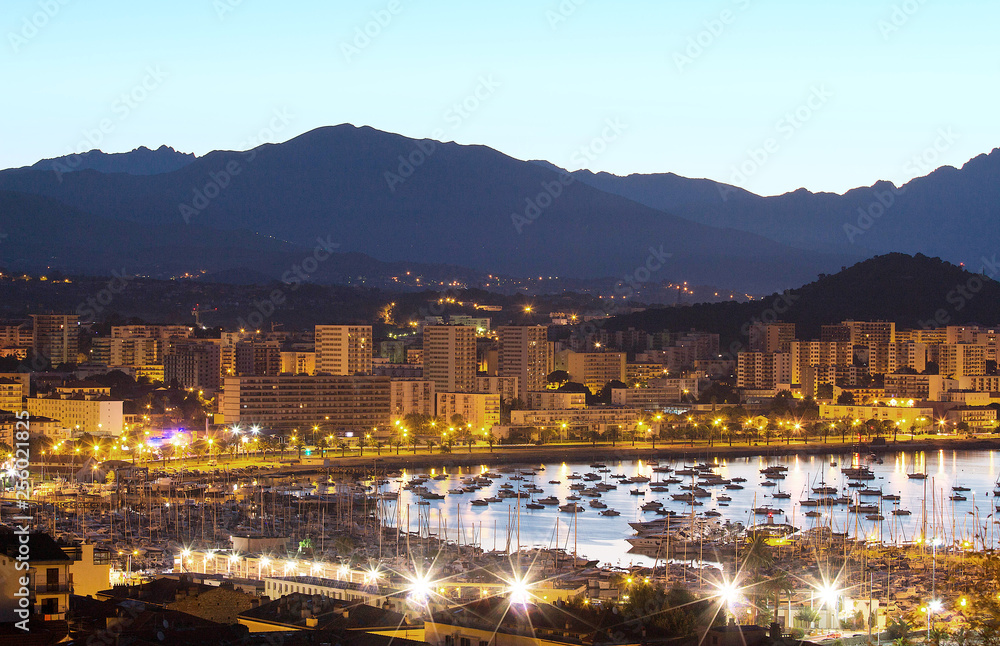 Fototapeta premium The houses of Ajaccio city and its marina at night , France, Corsica island.