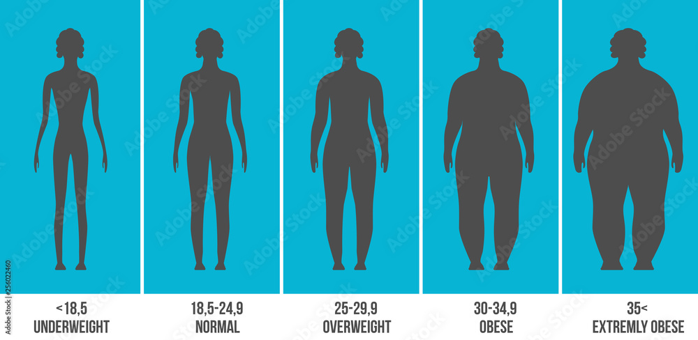 Creative Vector Illustration Of Bmi, Body Mass Index Infographic Chart With  Silhouettes And Scale Isolated On Transparent Background. Art Design Health  Life Template. Abstract Concept Graphic Element. Royalty Free SVG,  Cliparts, Vectors