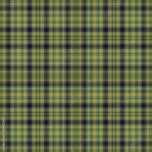tartan scottish fabric or p...