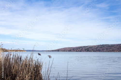 View of reeds on the Ammersee near Munich from the south shore of
