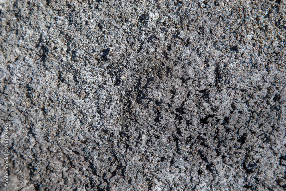 Close Up of Gray Ash Scattered on the Ground Close Up of Gray Ash Scattered on the Ground