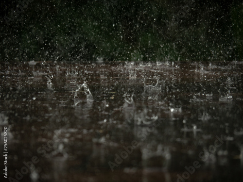 Raindrops falling on wooden floor.