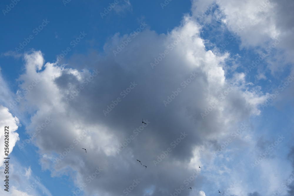 Wolken Wolken