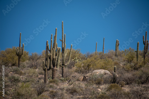 Travel to Page, Arizona © GGOSSMAN