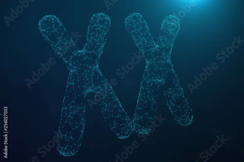 3D Illustration Polygonal Low poly Digital Artificial XX-Chromosomes Consisting Of Consisting Dots And Lines On Blue Background. Genetics Concept, Artificial Intelligence Concept. Binary Code In The © YustynaOlha