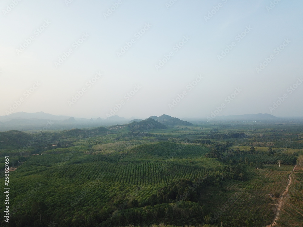 drone shot landscape nature mountain and trees background 