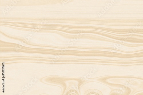 White wood background texture light   wooden.