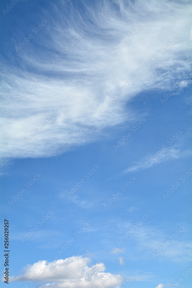 chmury na niebie - obrazy, fototapety, plakaty 