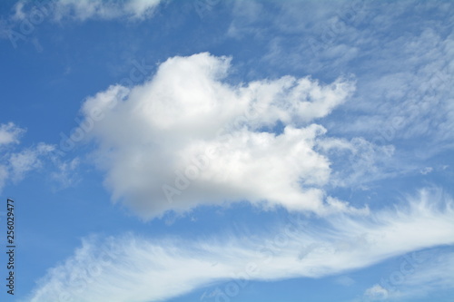 Fototapeta Naklejka Na Ścianę i Meble -  chmury na niebie