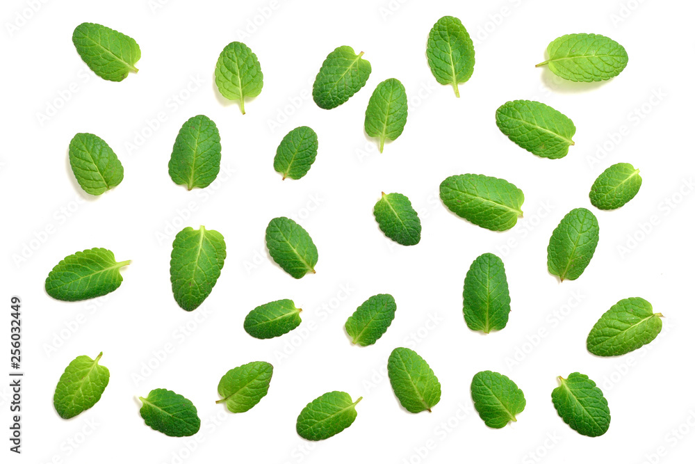 Mint leaves isolated on white background Mint leaves isolated on white background