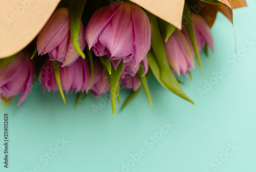 beautiful tulips on a colored background