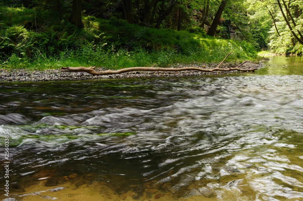 Beautiful and clean river Kamenice flowing through the woods and rocks Beautiful and clean river Kamenice flowing through the woods and rocks