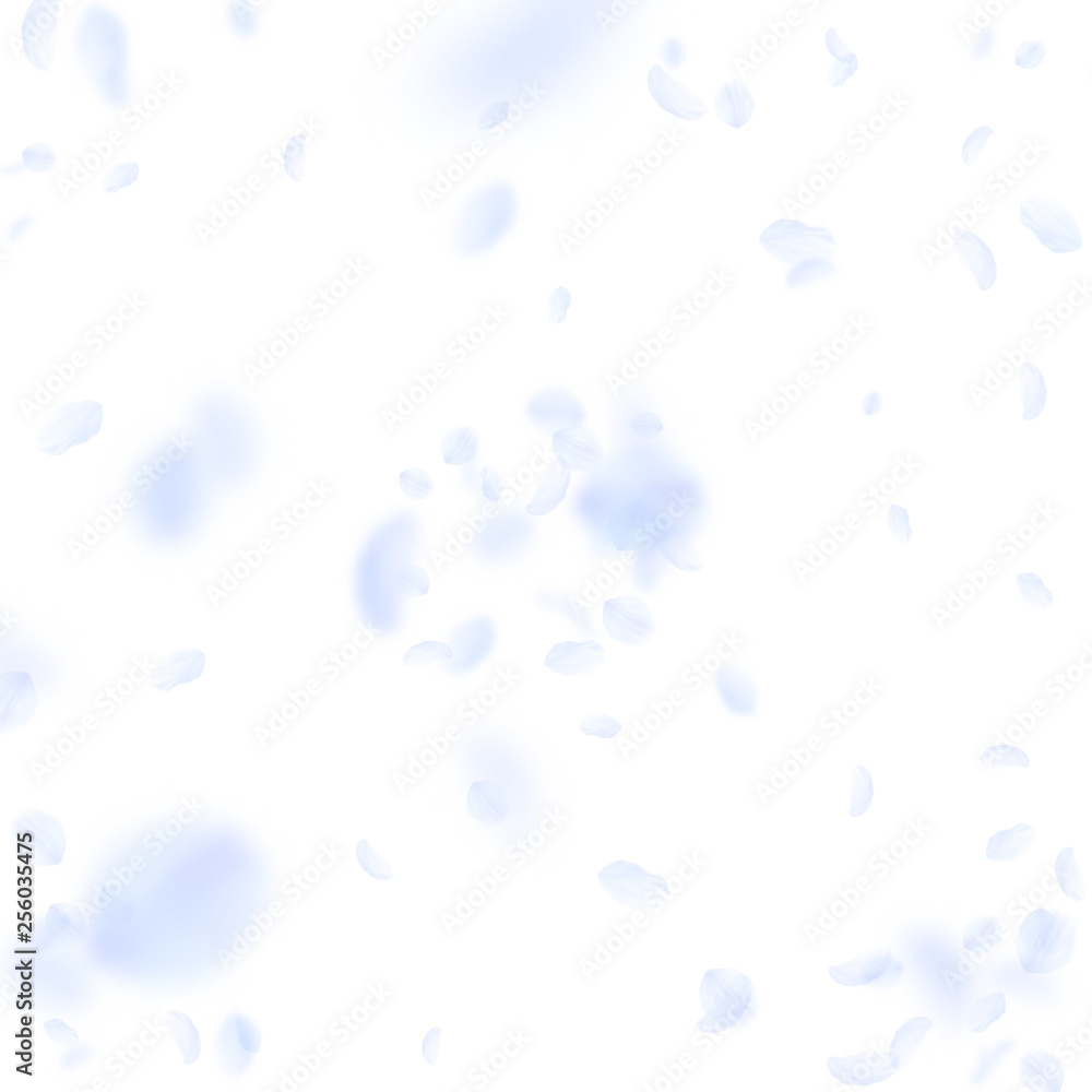 Light blue flower petals falling down. Impressive Light blue flower petals falling down. Impressive