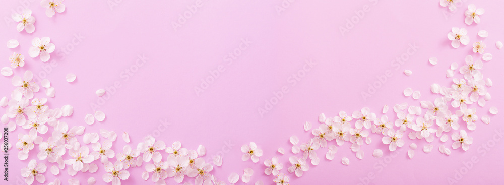 cherry flowers on paper background