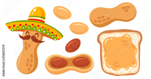 Set icon of peanuts