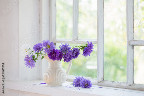 purple asters in  jug on  windowsill