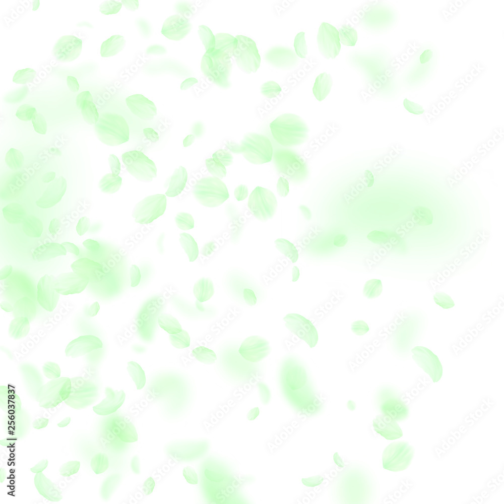 Green flower petals falling down. Fascinating roma Green flower petals falling down. Fascinating roma