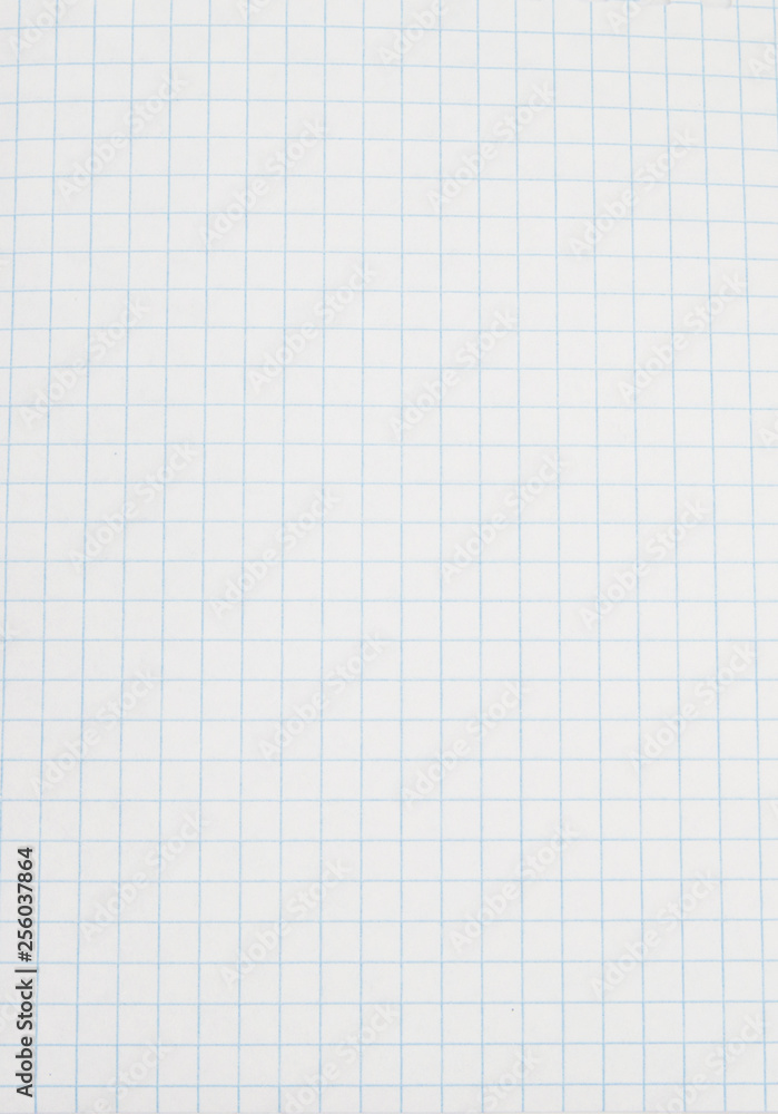 Blank paper sheet of a notebook. Grid. White. Background Blank paper sheet of a notebook. Grid. White. Background