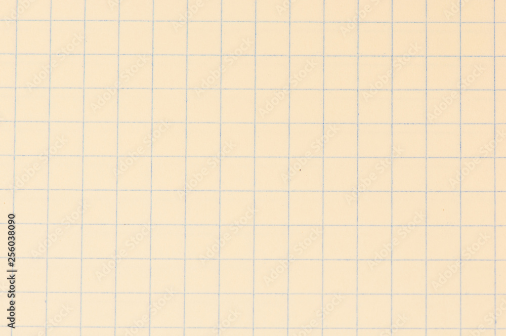 Blank paper sheet of a notebook. Grid. Background Blank paper sheet of a notebook. Grid. Background