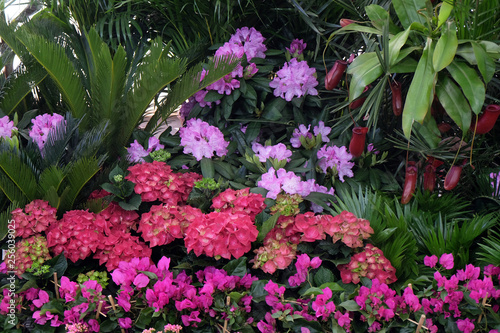 Flowers in garden