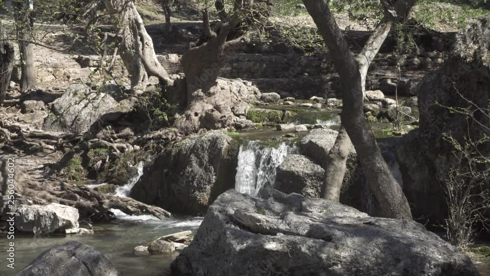 stream of the mountain river in the forest stream of the mountain river in the forest