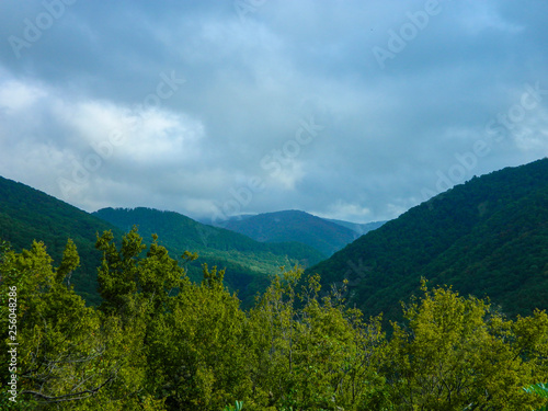mountain, landscape, nature, mountains, sky, forest, green, summer, clouds, travel, view, hill, blue, tree, valley, trees, grass, alps, beautiful, panorama, cloud, outdoors, countryside, hills, pine