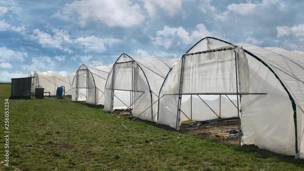 White modern plastic green houses against blue cloudy sky background in early spring. White modern plastic green houses against blue cloudy sky background in early spring.