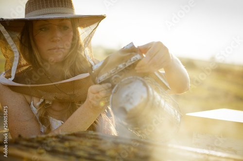 Woman beekeeper pours smoke on bee hive in box