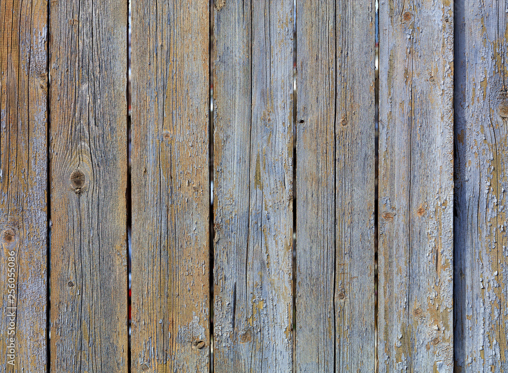 Texture of weathered old gray wooden fence