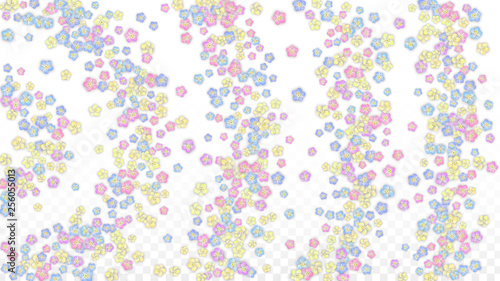 Colorful Vector Realistic Petals Falling on Transparent Background. Spring Romantic Flowers Illustration. Flying Petals. Sakura Spa Design. Blossom Confetti. Design Elements for Wedding Decoration.