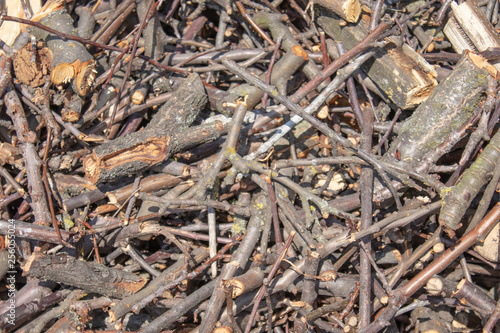 Dry branches of trees crushed into small pieces.