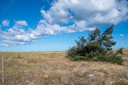 Darßer Ort Nationalpark Kernzone