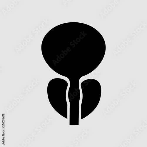 normal prostate and acute prostatitis. Medical illustration icon