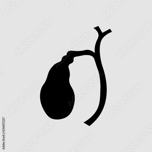 Illustration of Human gallbladder anatomy. Dyskinesia of the biliary tract.