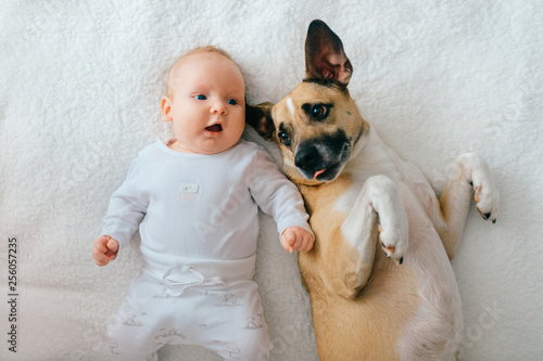 Indoor lifestyle portrait from above of newbhorn baby lying on back together with funny puppy on bed. Adorable couple friendship. Lovely little male child relaxing with dog at home. Carefree childhood