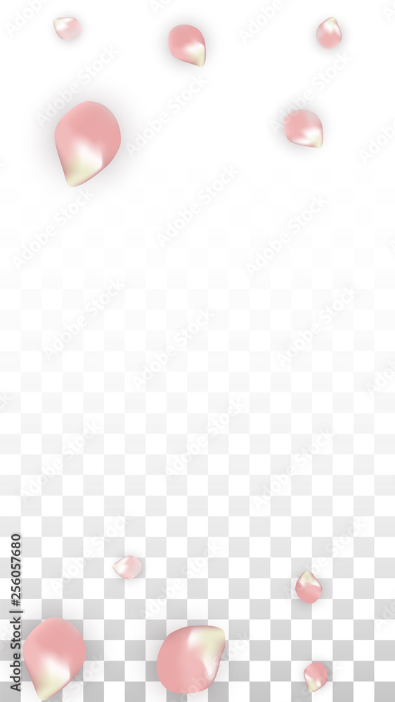 Vector Spring or Summer Sale Background with Petals and Percent for Template Design. Good for Special Hot Holiday Discount Offer, Black Friday, Fashion Promotion Action. Romantic Sakura Illustration Vector Spring or Summer Sale Background with Petals and Percent for Template Design. Good for Special Hot Holiday Discount Offer, Black Friday, Fashion Promotion Action. Romantic Sakura Illustration