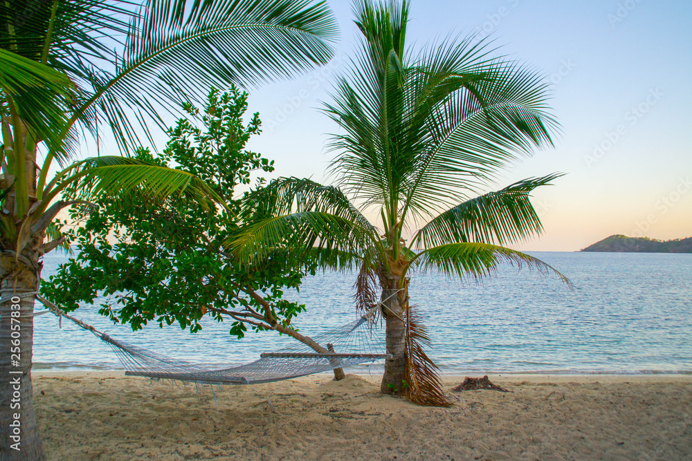 Fototapeta premium View of exotic white sand beach, sun loungers, palm trees and turquoise water at Fiji Islands. Calm, relaxing, inspiring mood. Travel / summer holidays / vacation concept. Beautiful holiday background