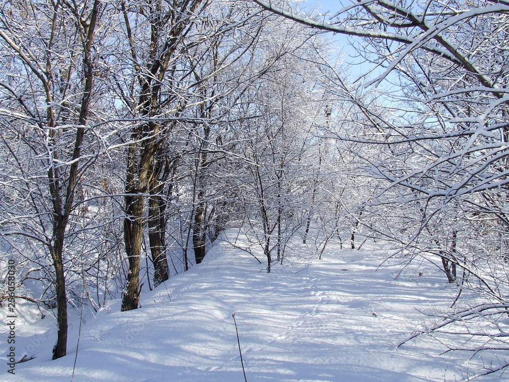 nature nature