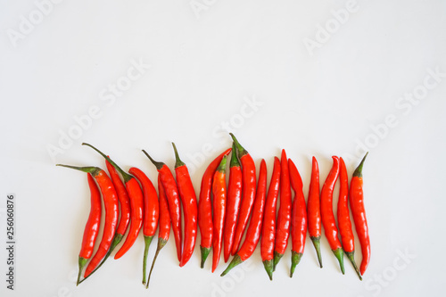 Pods of red chilli pepper lie on a white surface. Seasoning and healthy food. Free space for inscriptions