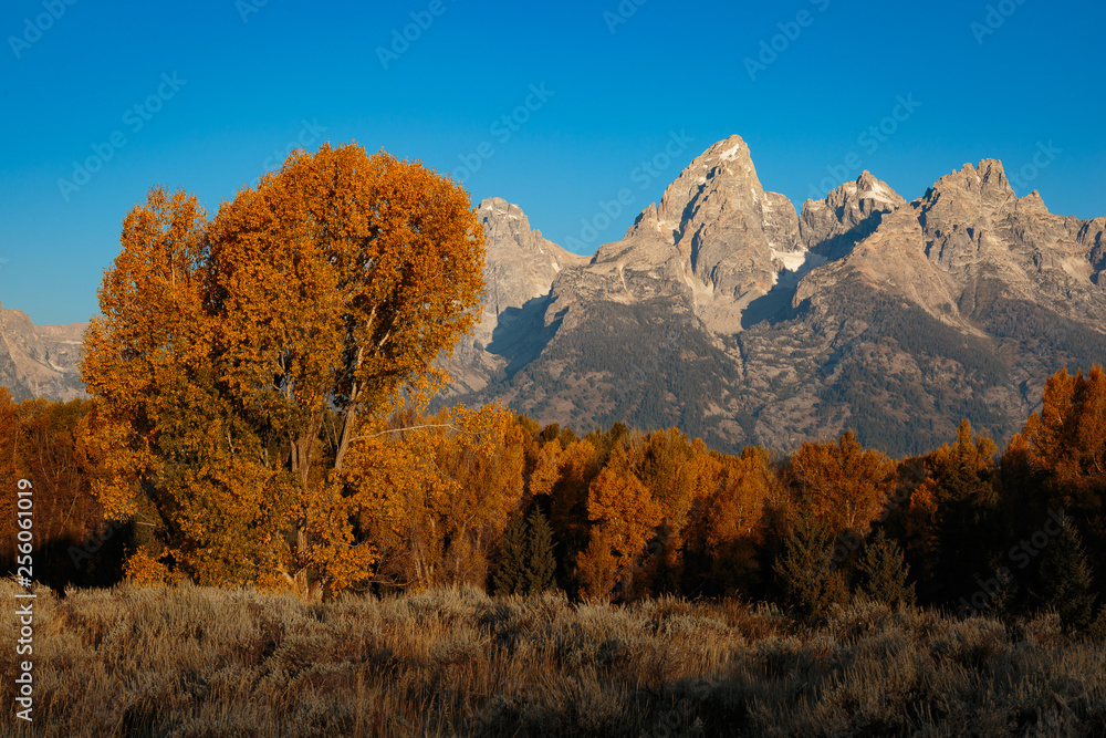 Fototapeta premium Fall Mountains