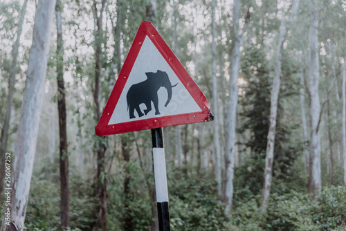 Attention! Elephant